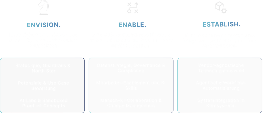 ENVISION - ENABLE - ESTABLISH Framework
